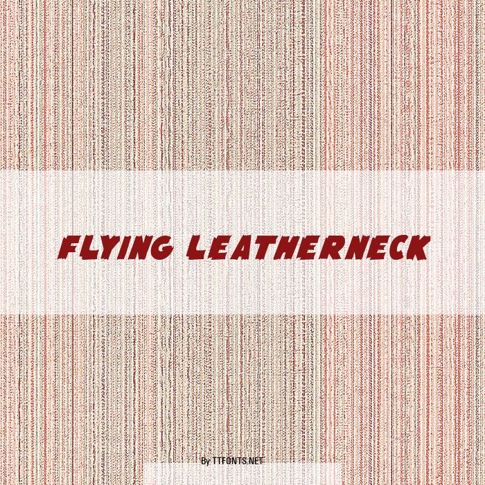 Flying Leatherneck example